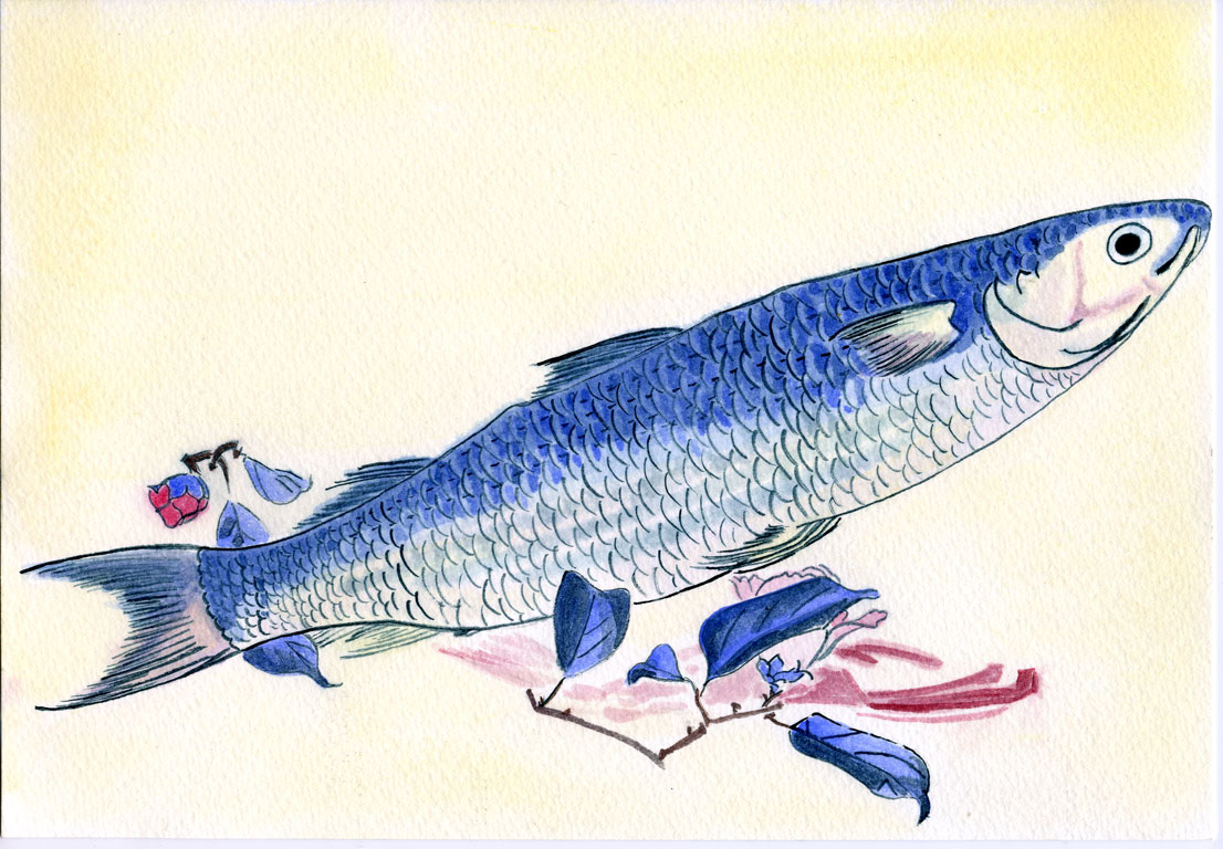 Bora Fish with Camellia, from the series Uozukushi (Every Variety of Fish) Utagawa Hiroshige