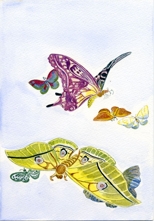 Various Moths and Butterflies by Kubo Shunman 