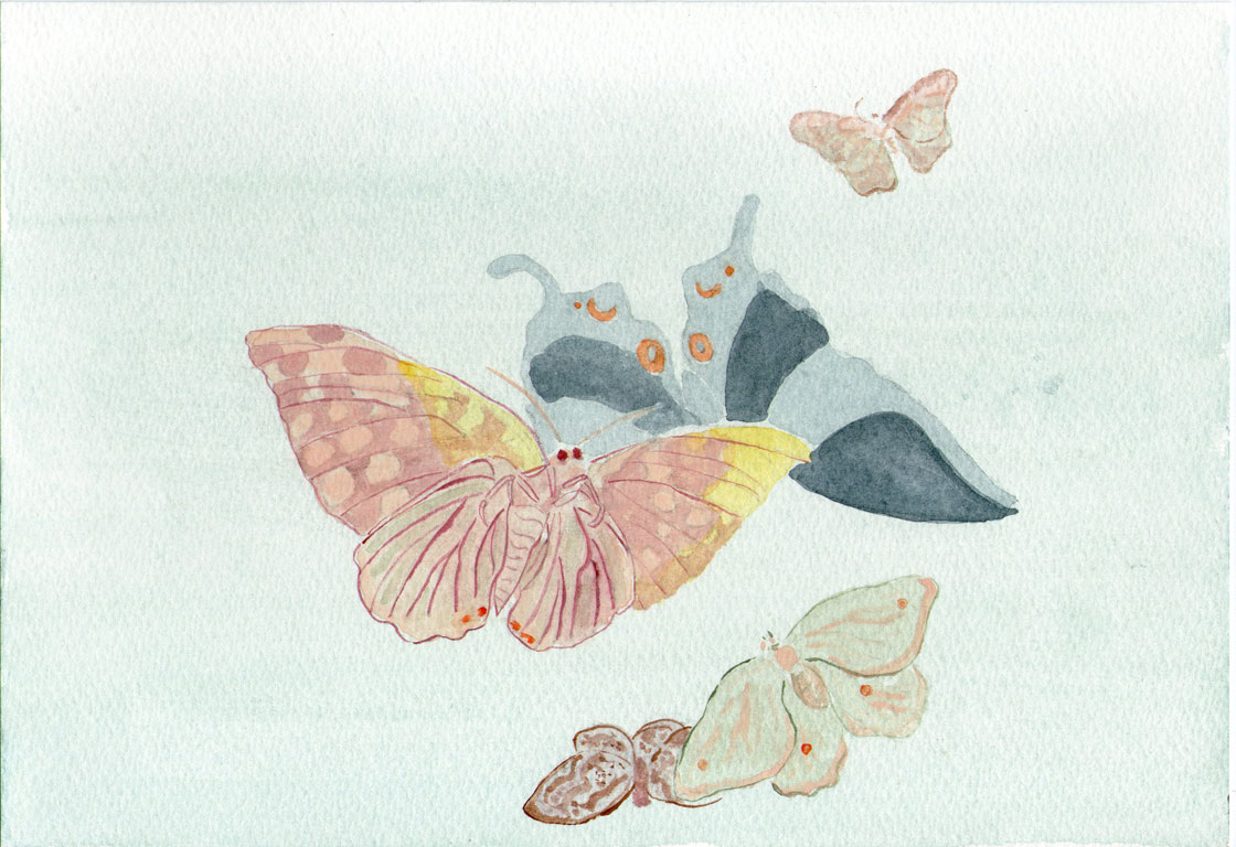 VaVarious moths and butterflies - Kubo Shunman (Japanese, 1757–1820)